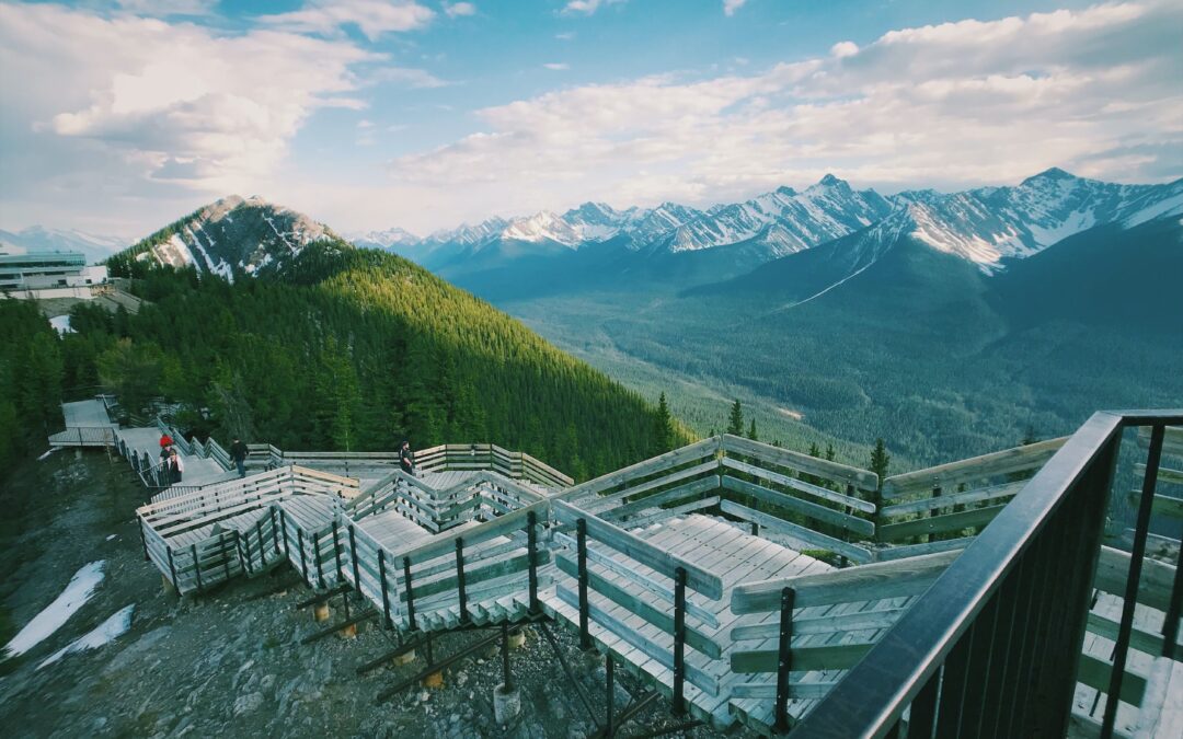 Big Bears And Breathtaking Beauty In Banff National Park