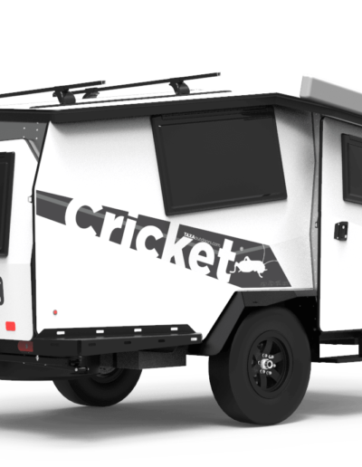 Cricket | Taxa Outdoors
