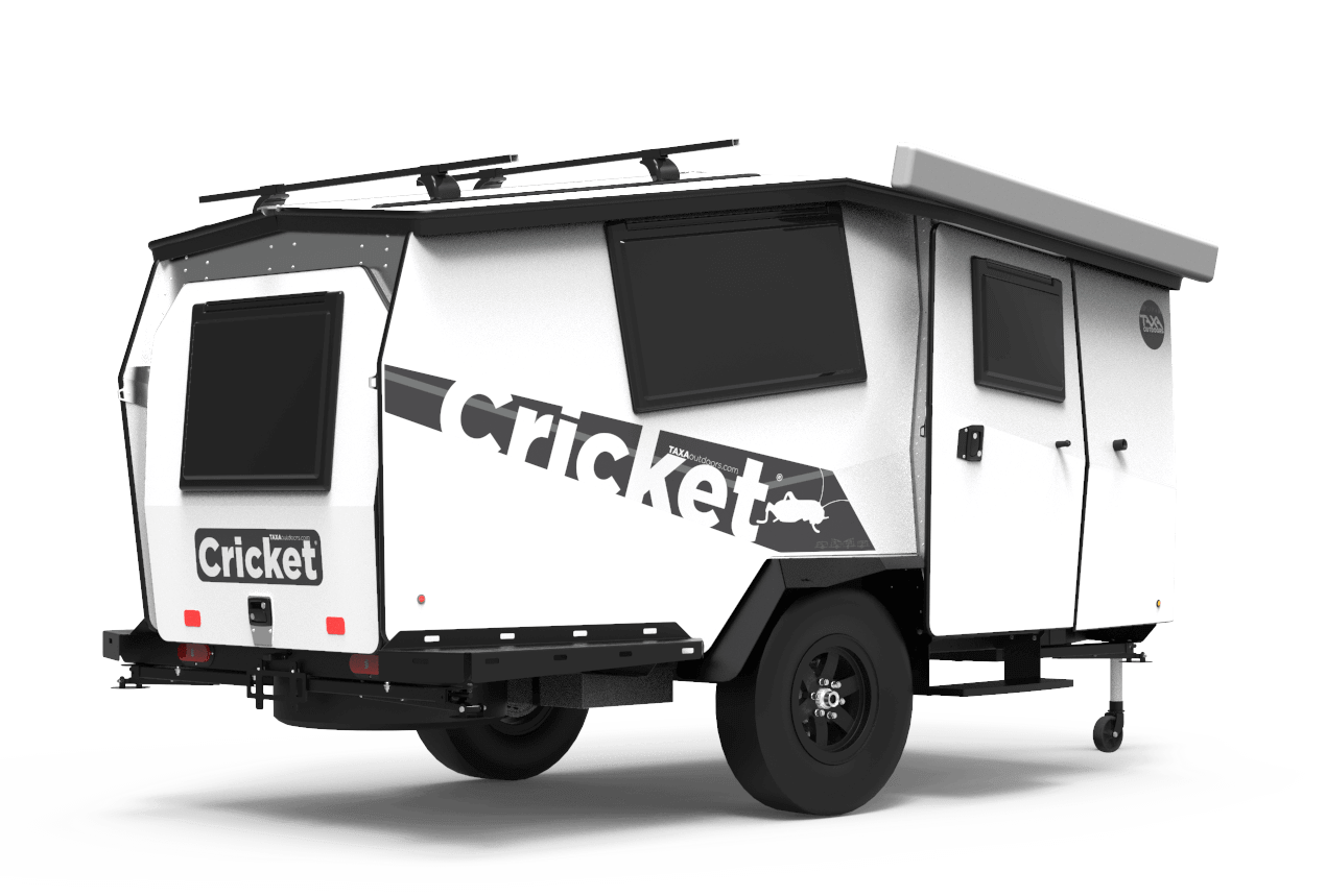 Cricket | Taxa Outdoors