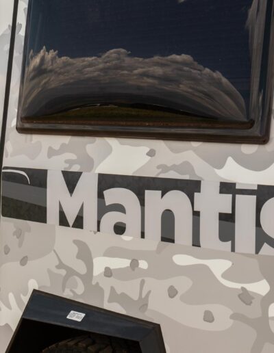Taxamantis 31
