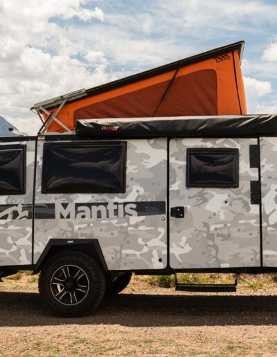 Taxamantis 34