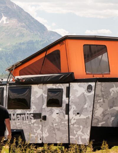 Taxamantis 35
