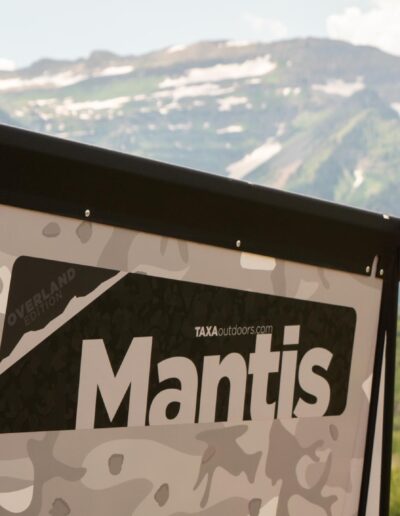 Taxamantis 38
