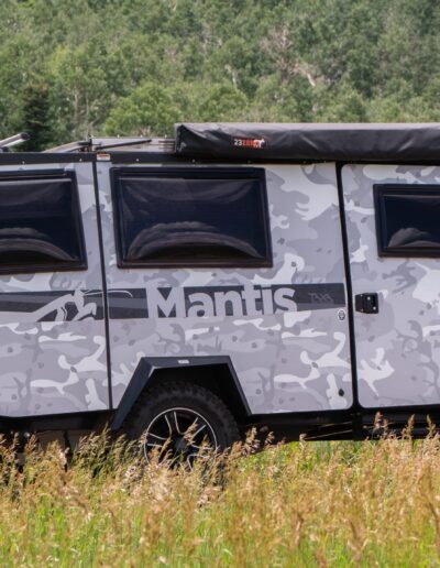 Taxamantis 46