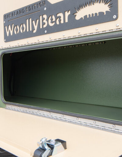 Woollybear 12