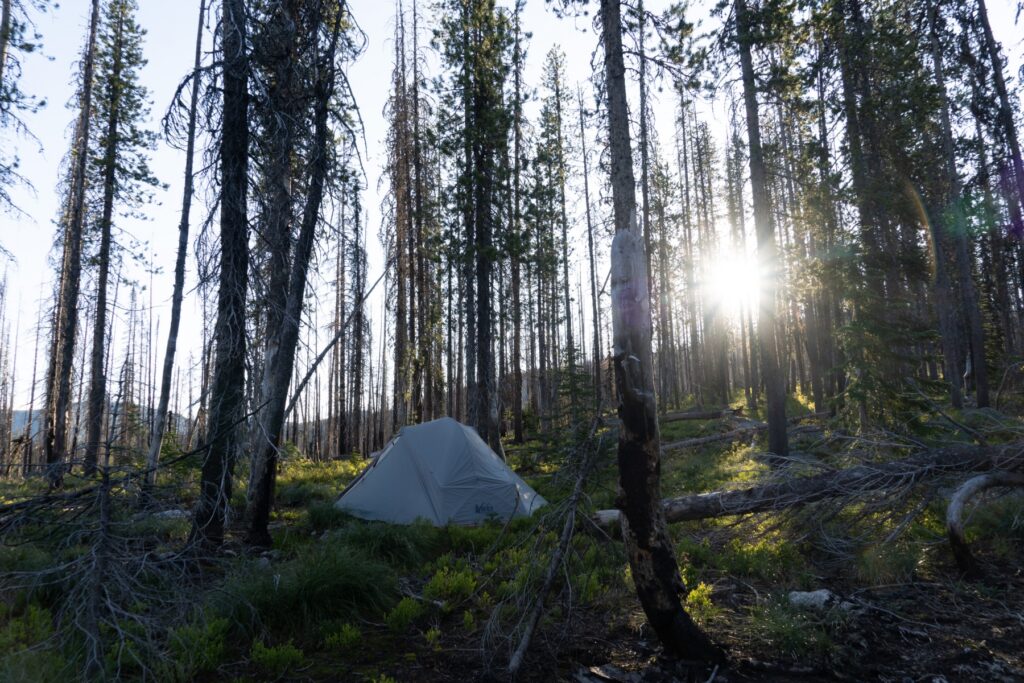 Selway-Bitterroot Wilderness