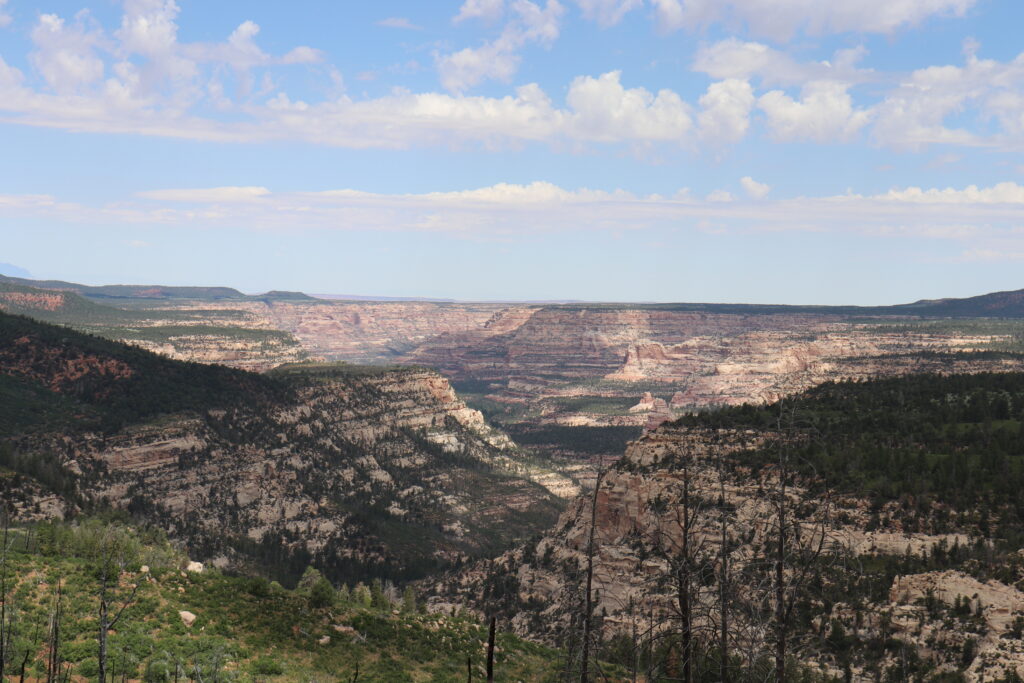 Dark Canyon Wilderness