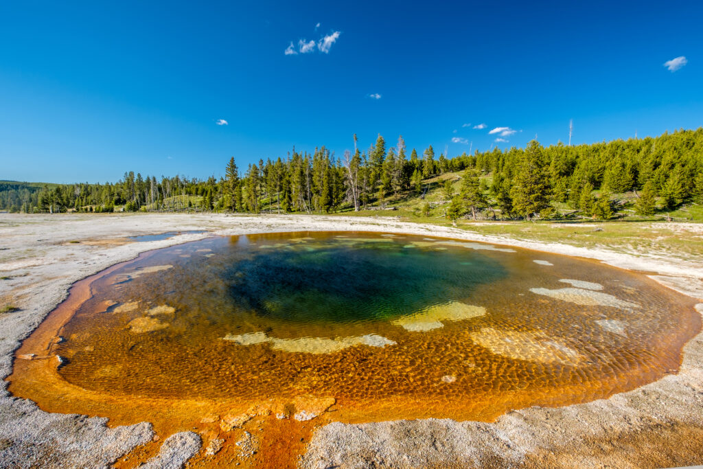 Hot Thermal Spring In Yellowstone